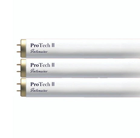 Three ProTech II Intensive light bulbs on a white background