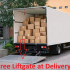 ProSun Sundream 12V Hybrid Red Light Tanning Canopy Free Liftgate Shipping and Delivery