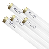 ProTech II UV Tanning Lamps on a white background