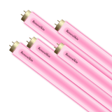 RenuvaSkin lamps on a white background