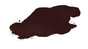 Dark brown blotch on a white background